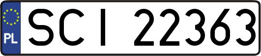 SCI22363