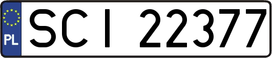 SCI22377