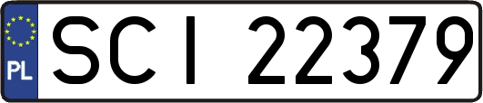 SCI22379