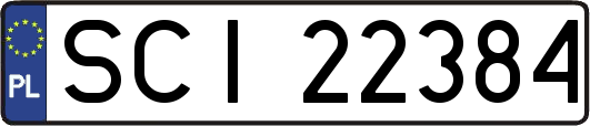 SCI22384