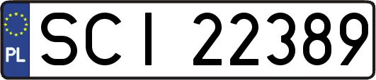SCI22389