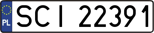 SCI22391