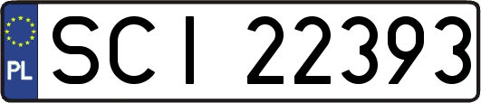 SCI22393