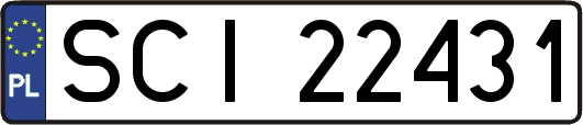 SCI22431