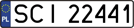 SCI22441