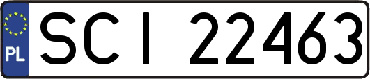 SCI22463