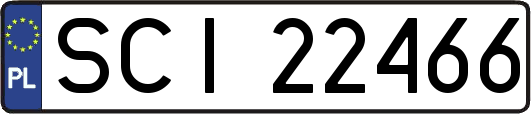 SCI22466