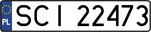 SCI22473