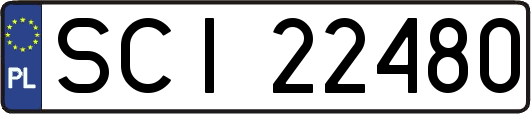 SCI22480