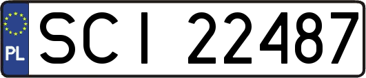 SCI22487