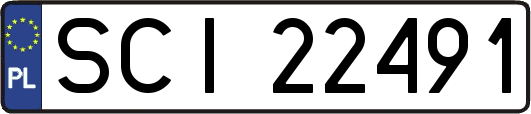 SCI22491