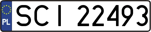 SCI22493
