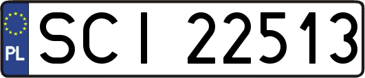 SCI22513