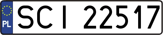 SCI22517
