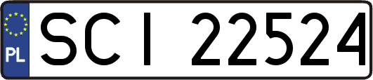 SCI22524