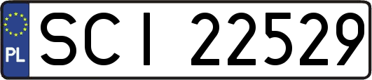 SCI22529