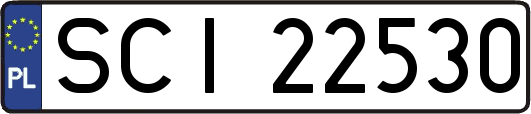 SCI22530