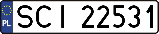 SCI22531