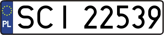 SCI22539