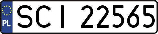 SCI22565