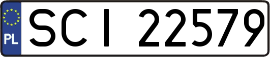 SCI22579
