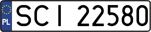 SCI22580
