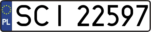 SCI22597