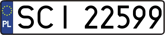 SCI22599