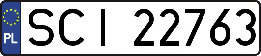 SCI22763