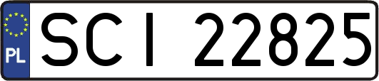 SCI22825