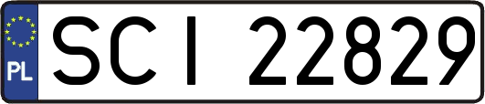 SCI22829