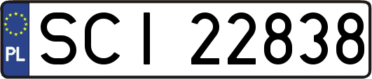 SCI22838