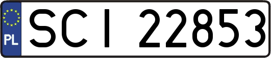 SCI22853