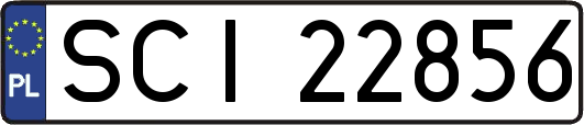 SCI22856