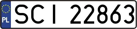 SCI22863