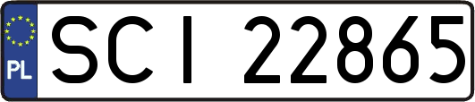 SCI22865