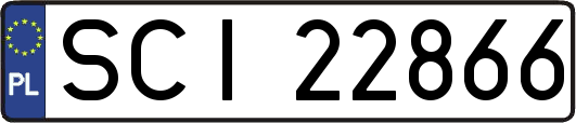 SCI22866