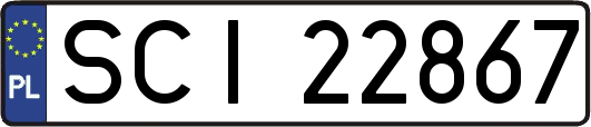 SCI22867