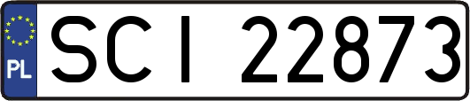 SCI22873