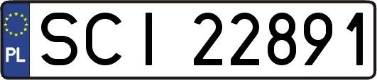 SCI22891