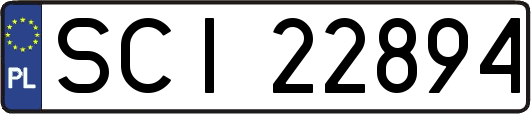SCI22894