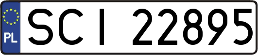 SCI22895