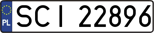 SCI22896