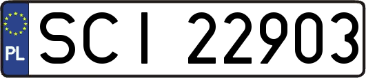SCI22903