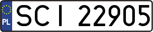 SCI22905