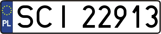 SCI22913
