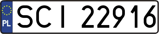 SCI22916