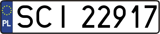 SCI22917