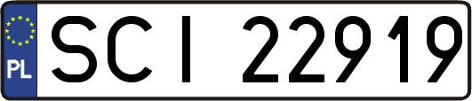 SCI22919