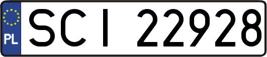 SCI22928